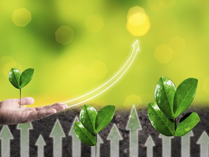 bigstock-green-sprout-growing-in-man-ha-408295652